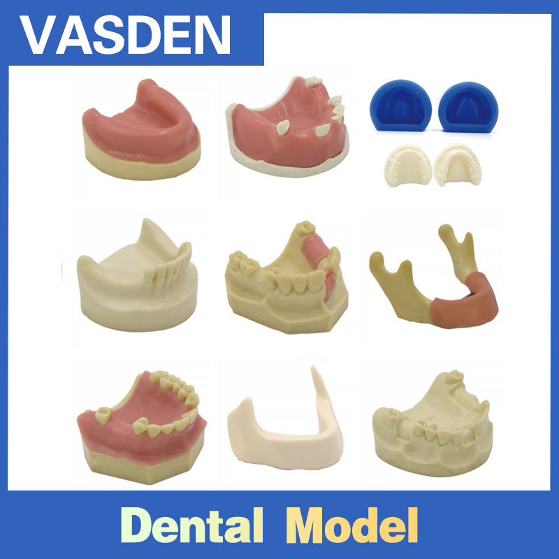 Образовательная стоматологическая модель с металлическими брекетами Tpodont Teeth для стоматологического университета