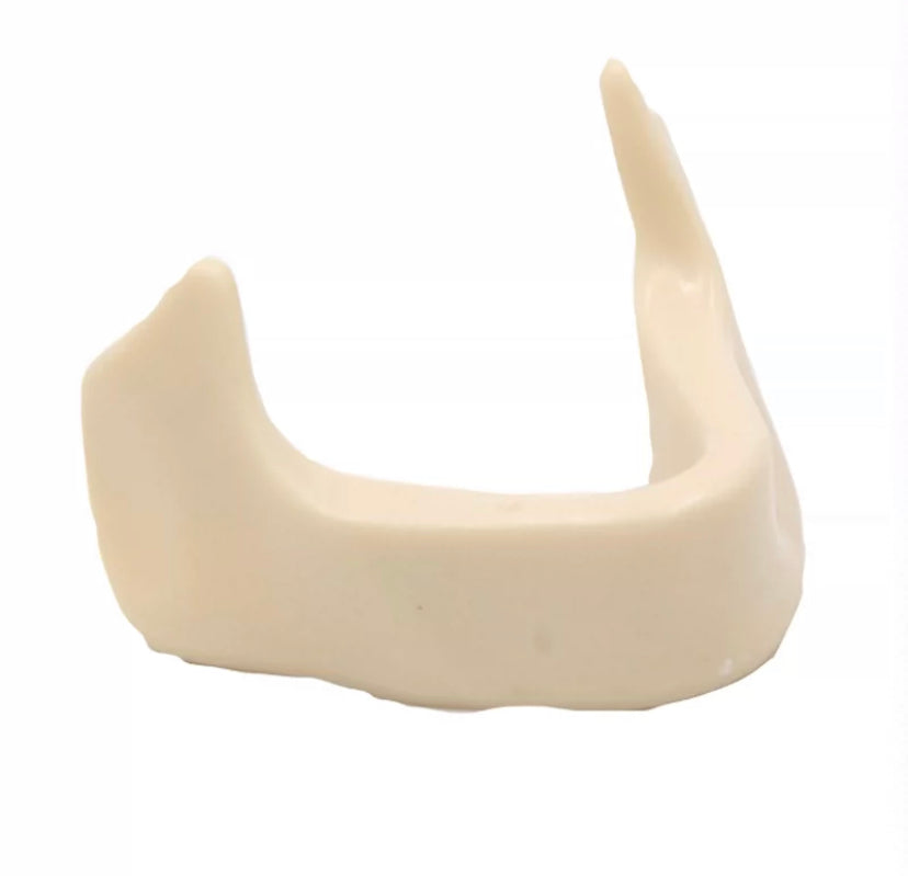 Dental Model for Educational With Metal Brackets Tpodont Teeth For Dental University