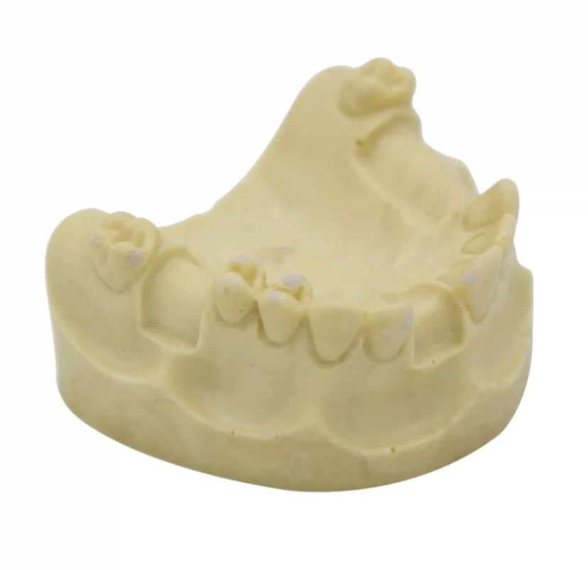 Образовательная стоматологическая модель с металлическими брекетами Tpodont Teeth для стоматологического университета