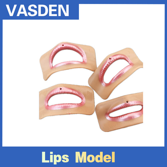 Dental Lips Model 4Pcs